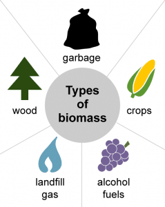 biomass types