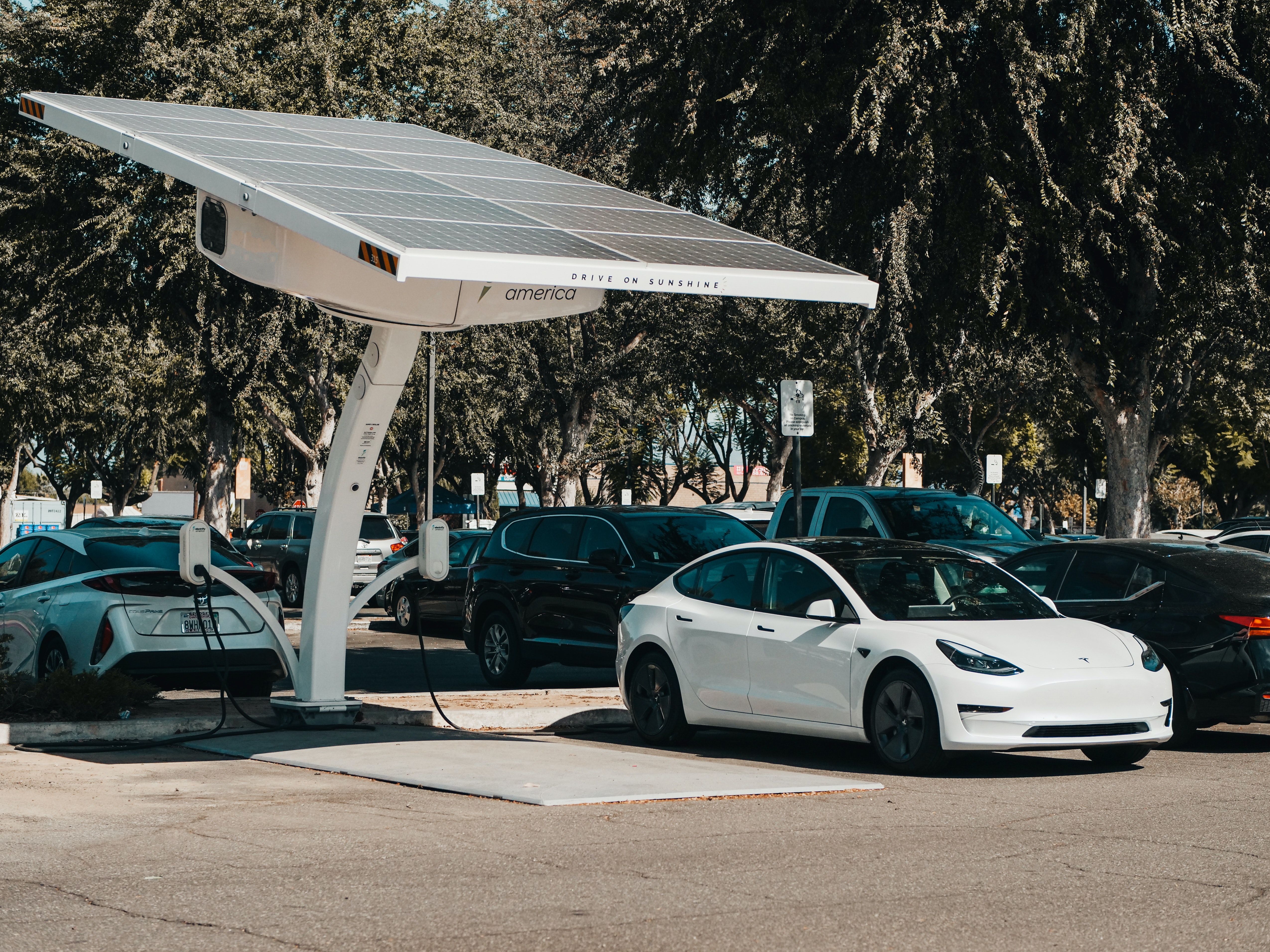 Is It Practical to Install Solar Panels on Electric Cars?